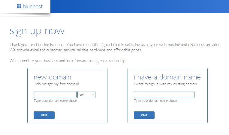 bluehost-new-domain-page