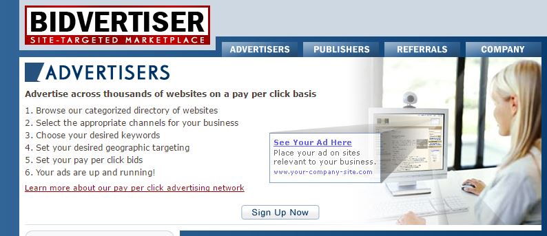 bidvertiser - adsense alternative