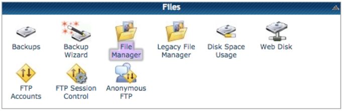 File Manager